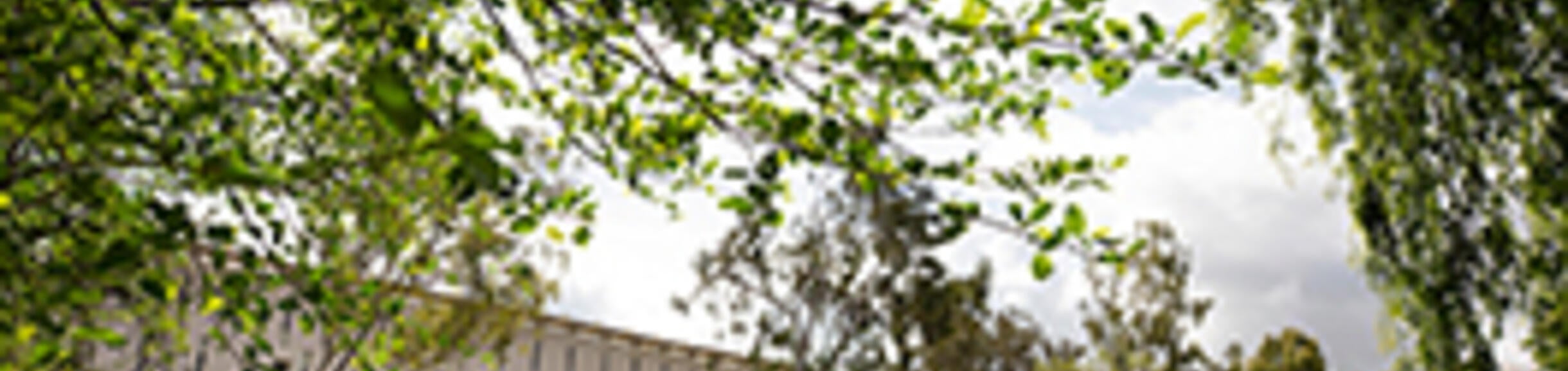 UCR Library Arches