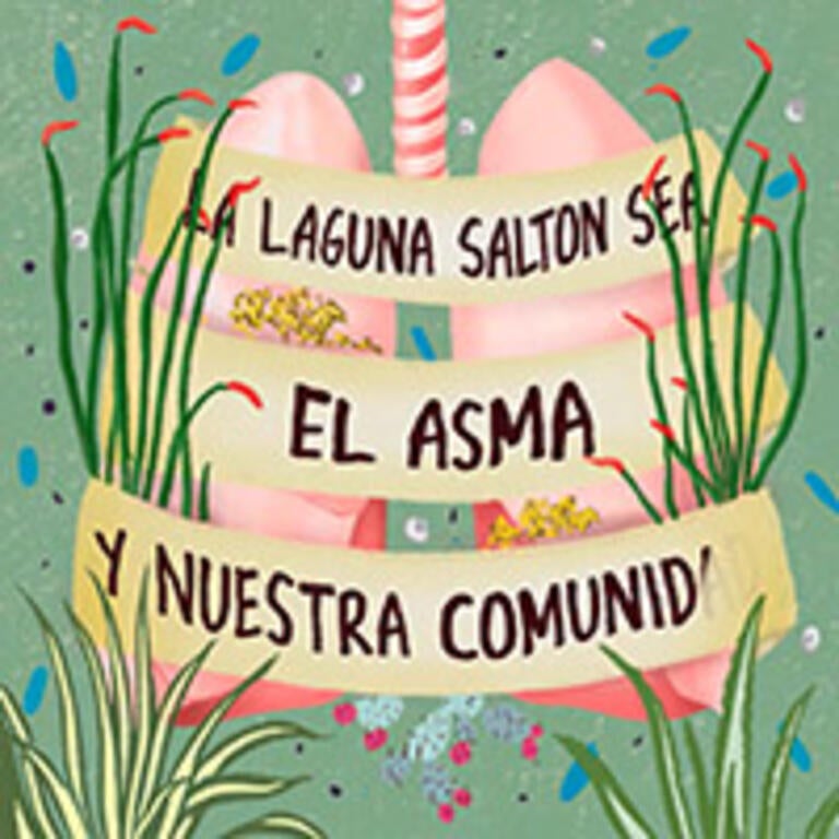 A pair of pink lungs atop a blue, white and red green background.A banner crosses the lungs with the title: La Laguna Salton Sea, el Asma, y nuestra Comunidad. The banner and the lungs are partially obscured by grasses.